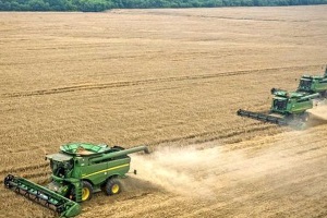 В США прогнозують врожай зерна в Україні на рівні 60 млн т. 
